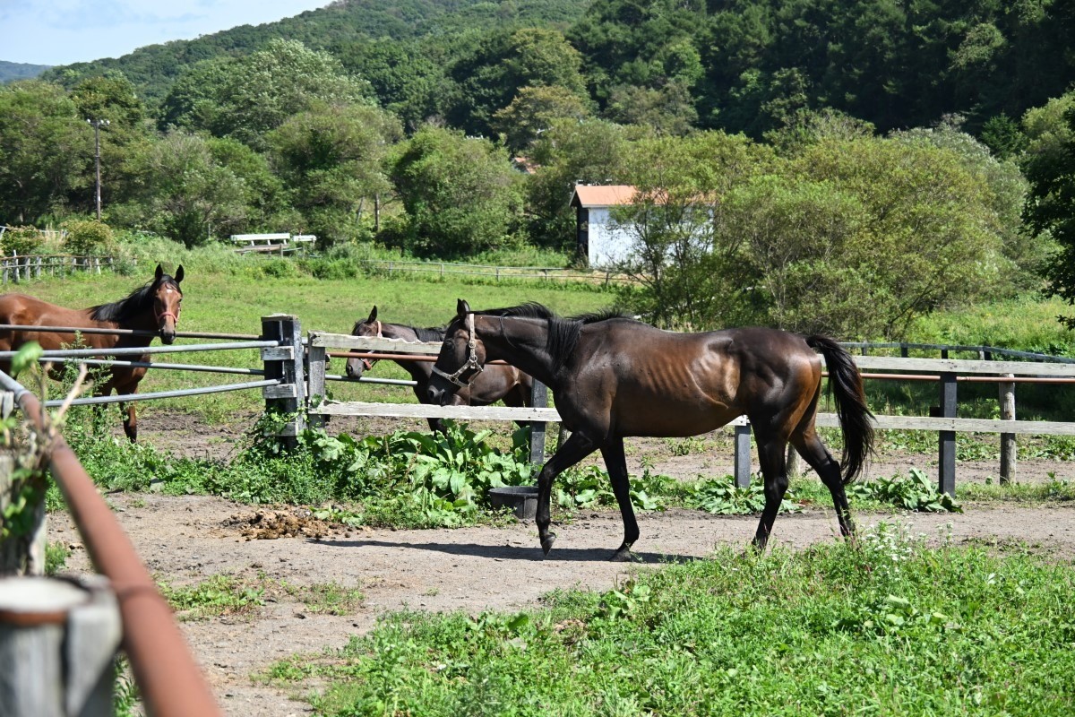 de26c0b93060336a3d52d101e330f7e0-1758248663.jpg